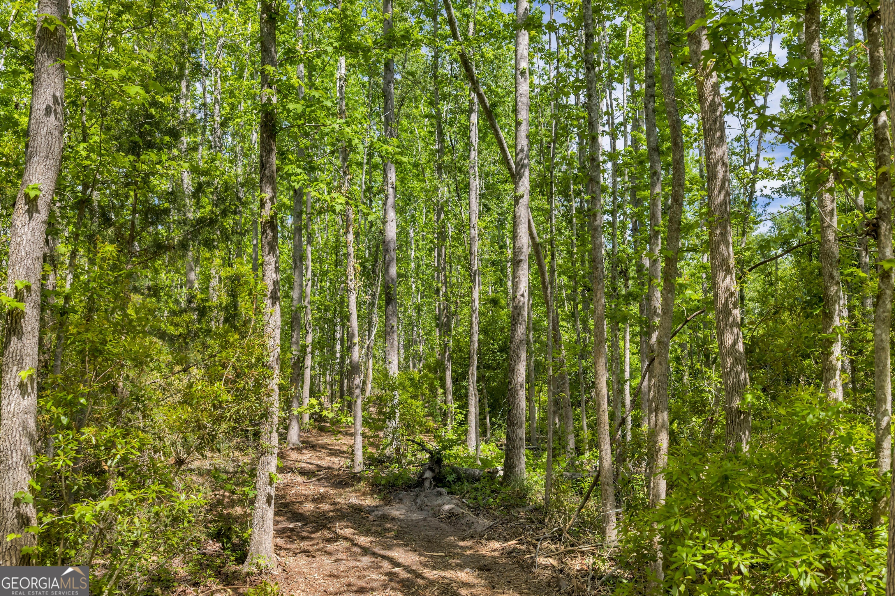 0 Twin Oaks Road Ray City, GA 31645 - Photo 27 of 33