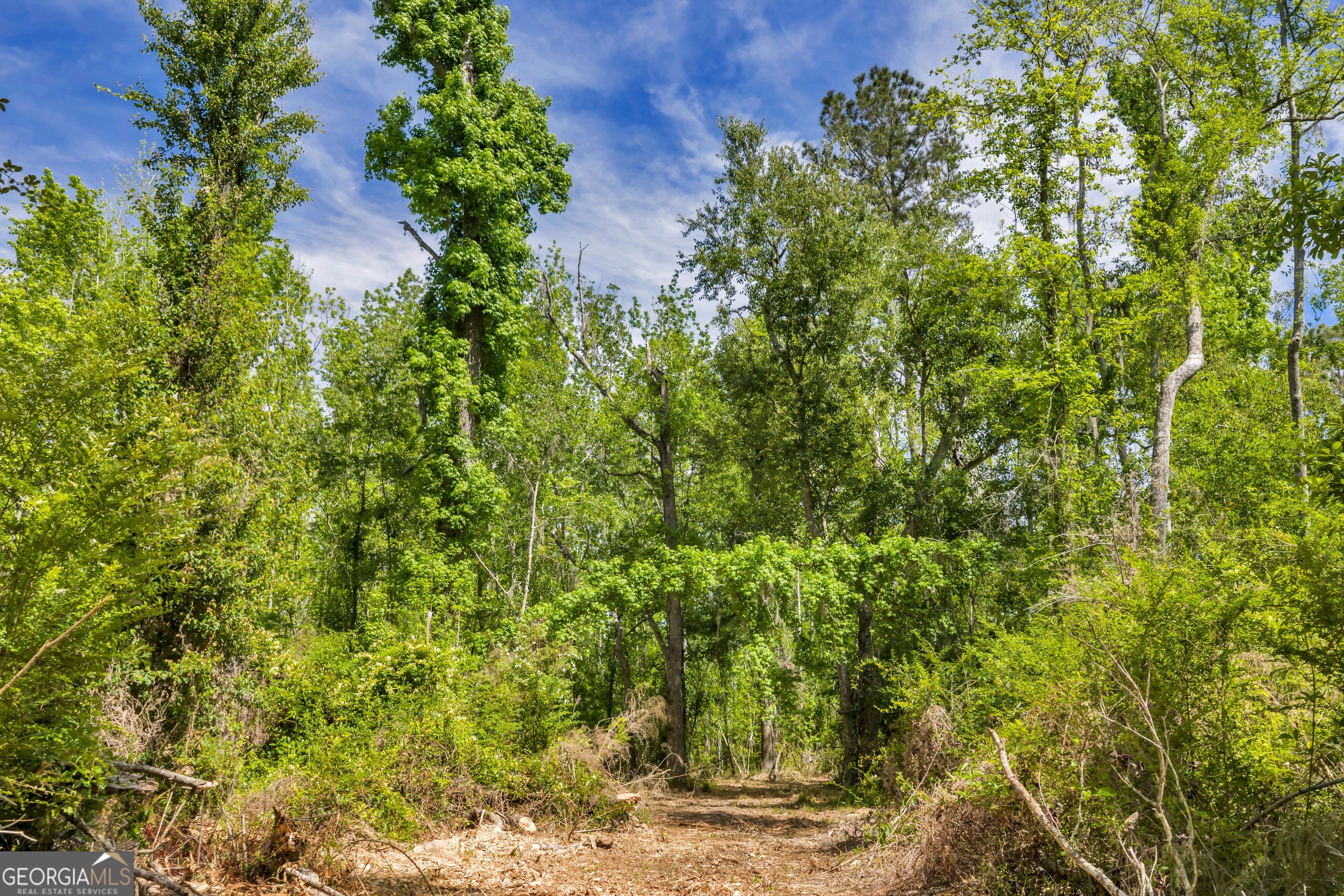 0 Twin Oaks Road Ray City, GA 31645 - Photo 28 of 33