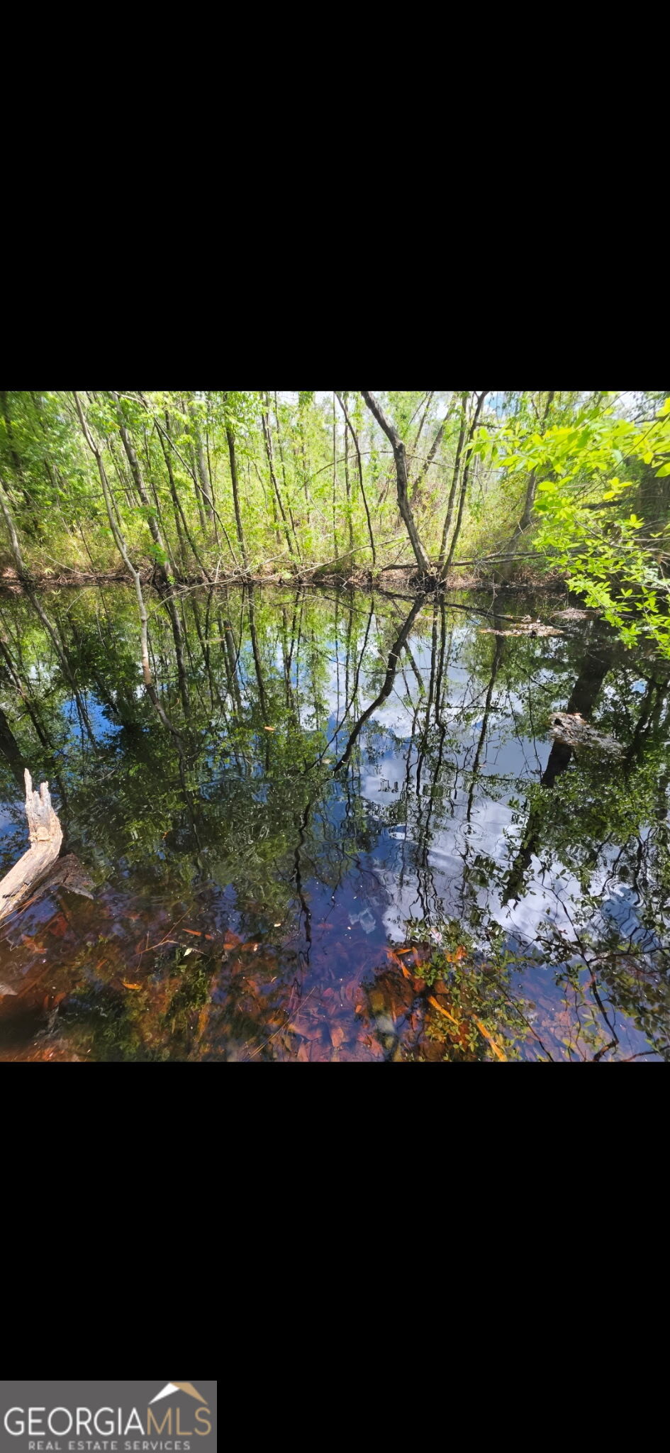 0 Twin Oaks Road Ray City, GA 31645 - Photo 30 of 33