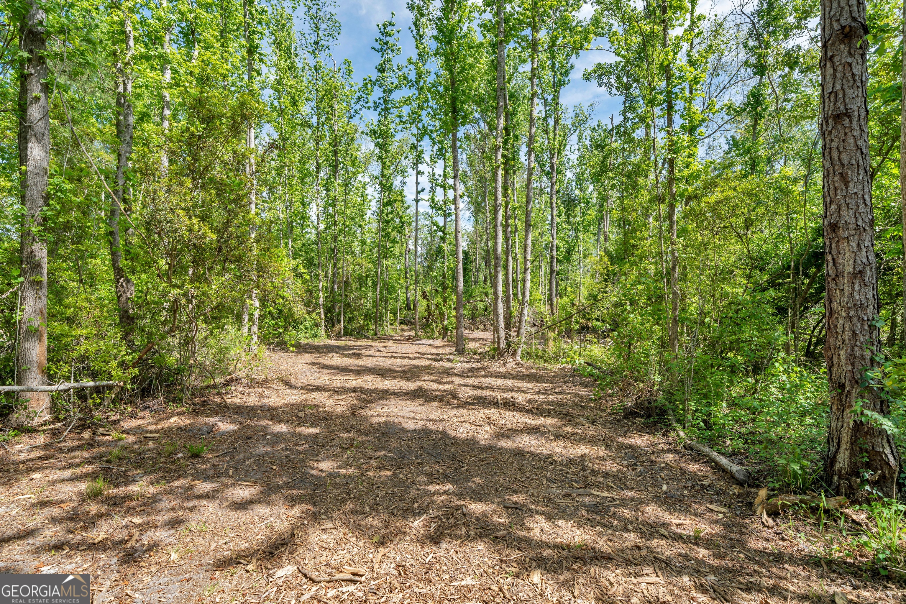 0 Twin Oaks Road Ray City, GA 31645 - Photo 3 of 33