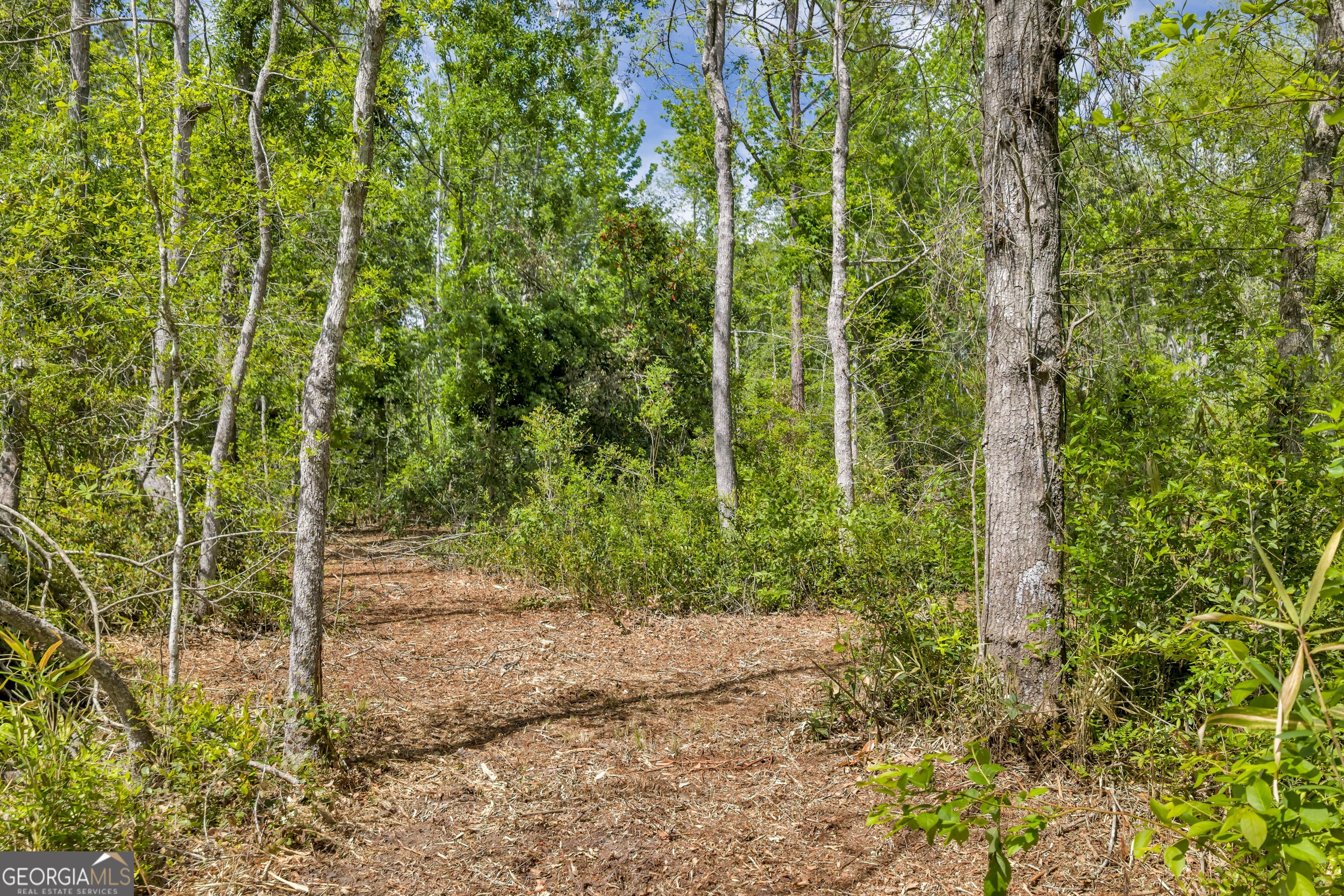 0 Twin Oaks Road Ray City, GA 31645 - Photo 4 of 33