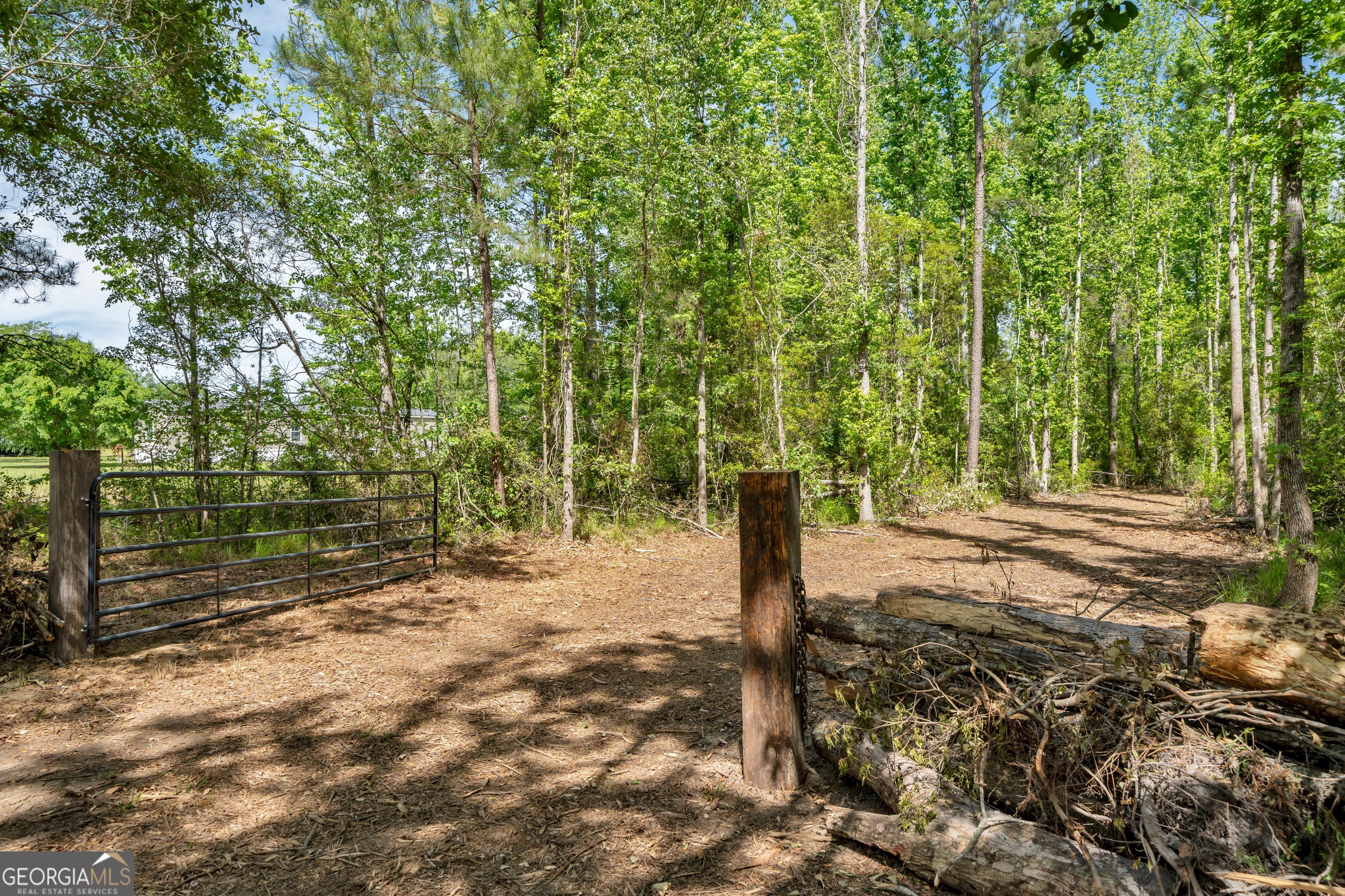 0 Twin Oaks Road Ray City, GA 31645 - Photo 5 of 33