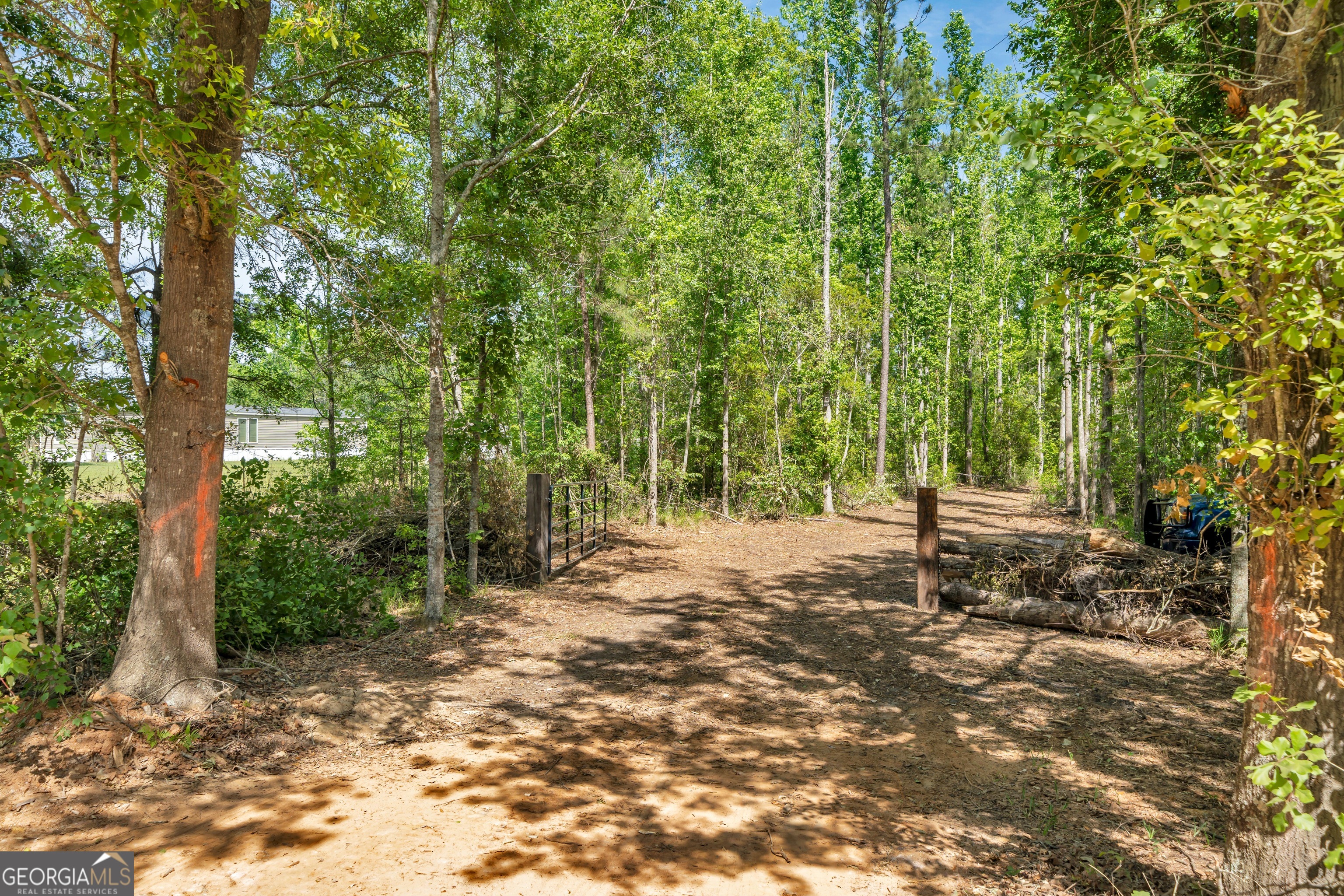 0 Twin Oaks Road Ray City, GA 31645 - Photo 6 of 33