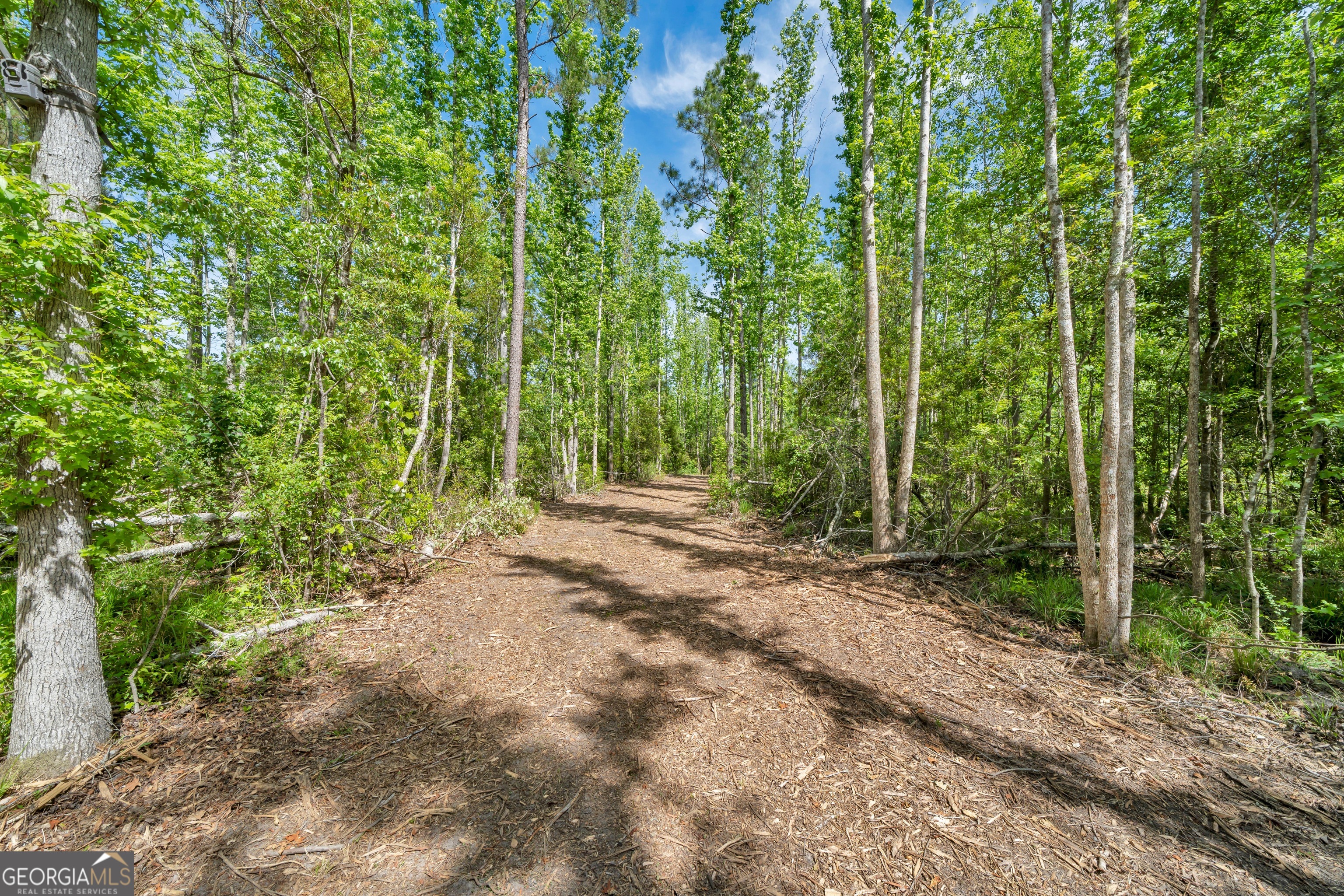 0 Twin Oaks Road Ray City, GA 31645 - Photo 7 of 33