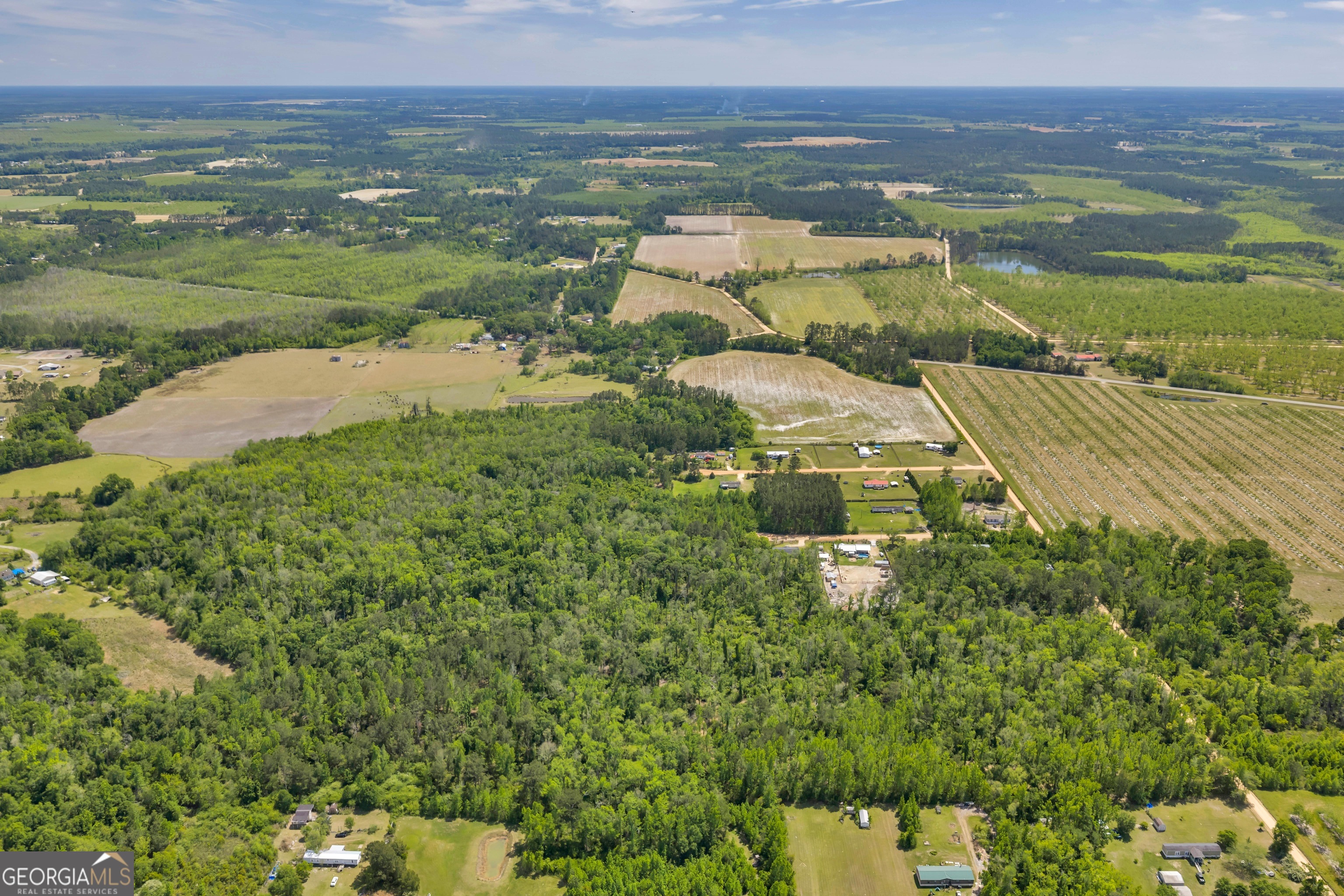 0 Twin Oaks Road Ray City, GA 31645 - Photo 10 of 33