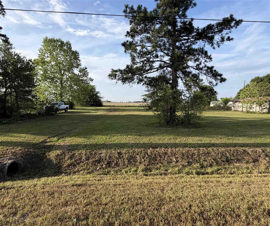 90 Highway 90 Iowa, LA 70647 - Photo 2 of 4