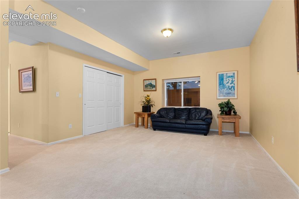 5575 Butler Court Colorado Springs, CO 80918 - Photo 36 of 42 basement family room #2