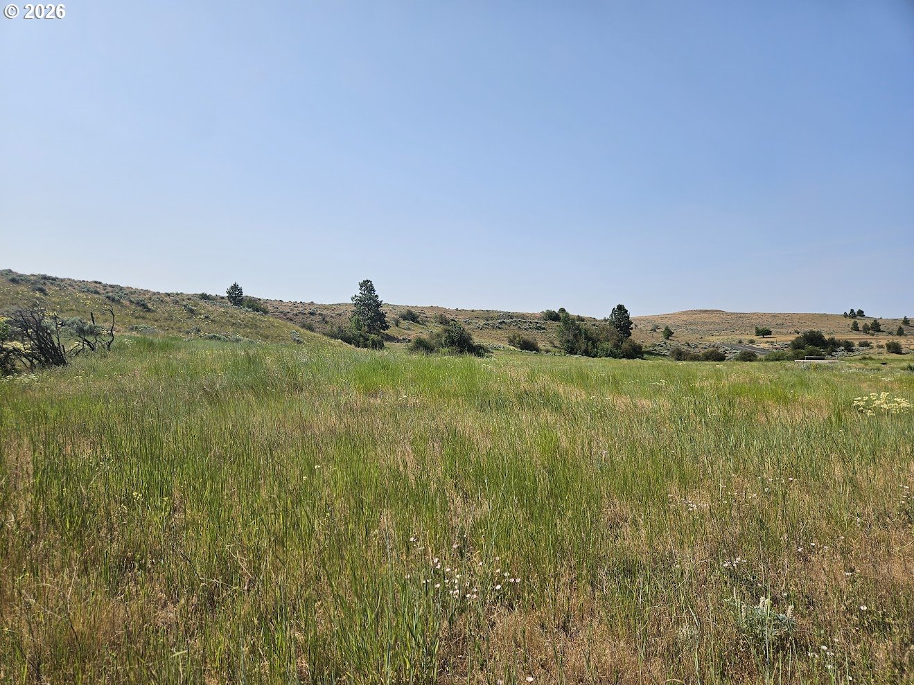 Olson Road Centerville, WA 98613 - Photo 11 of 25