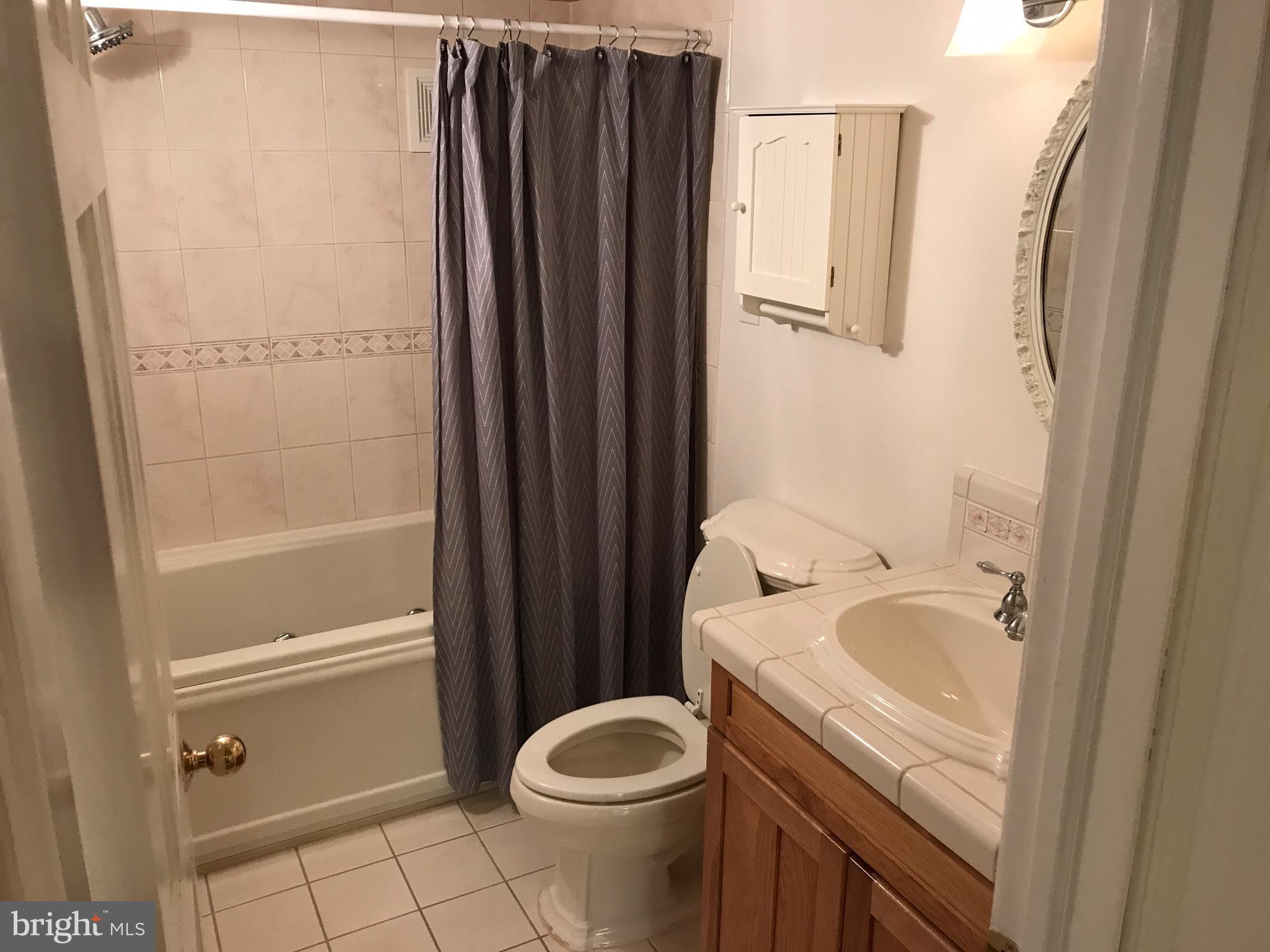 1717 Whisperhill Drive Reston, VA 20194 - Photo 9 of 10 a bathroom with a sink a toilet and shower