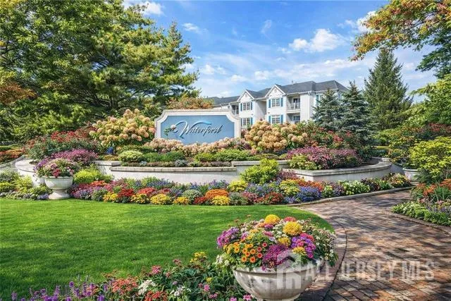 a view of a flowers in a garden