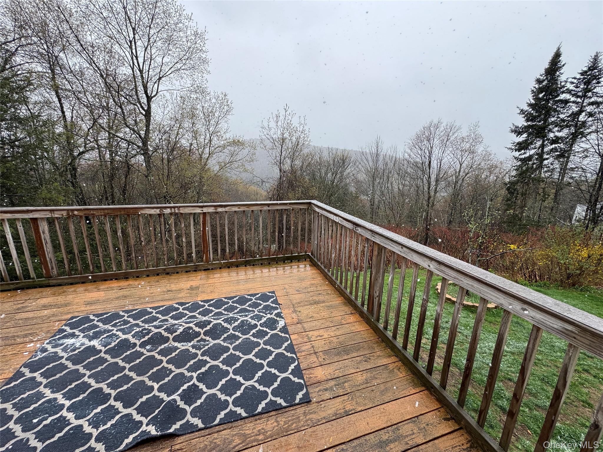 96 White Roe Lake Road Livingston Manor, NY 12758 - Photo 13 of 31