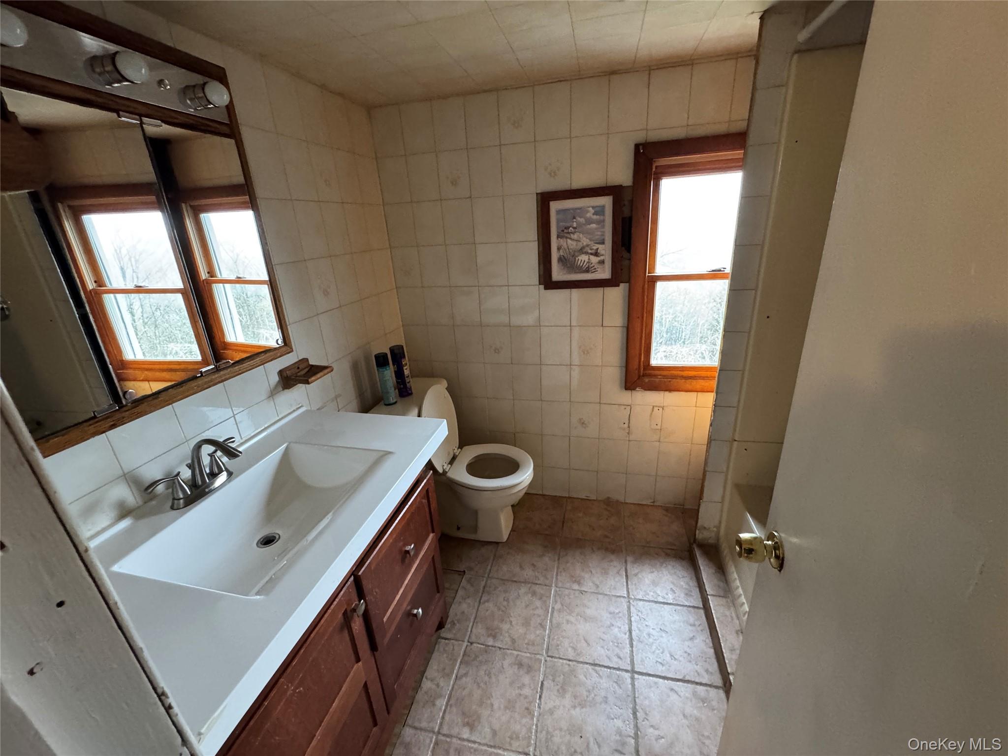 96 White Roe Lake Road Livingston Manor, NY 12758 - Photo 20 of 31 2nd floor bathroom