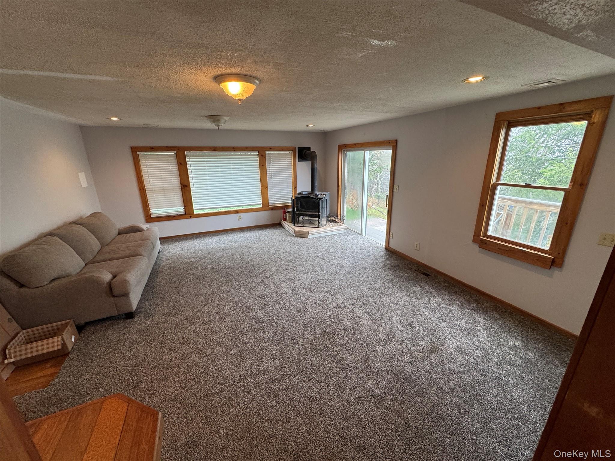 96 White Roe Lake Road Livingston Manor, NY 12758 - Photo 25 of 31 1st floor living room with hardwood flooring underneath the carpet. Wood stove and sliding glass door to the back yard.