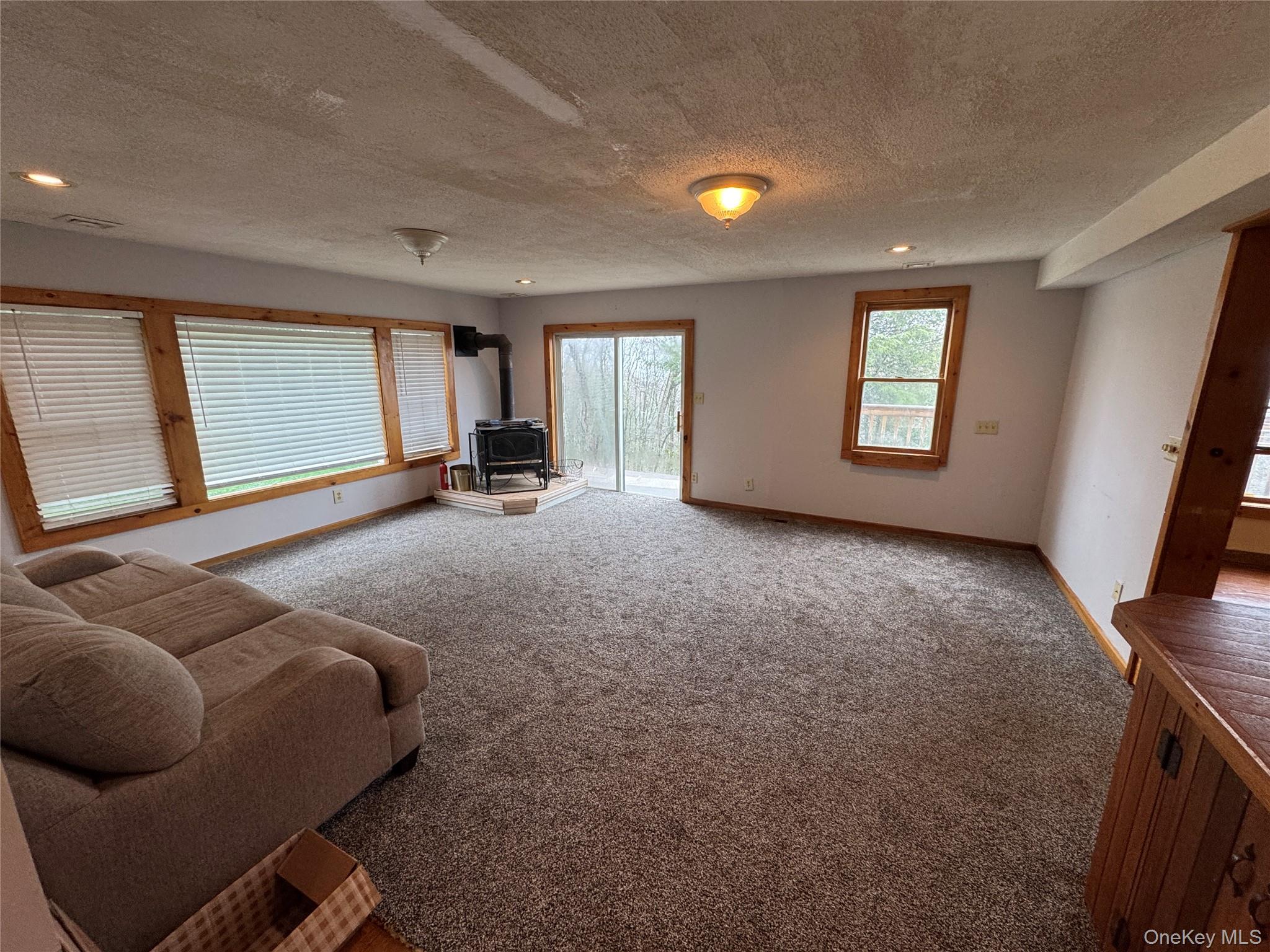 96 White Roe Lake Road Livingston Manor, NY 12758 - Photo 26 of 31 This inviting living space features wood trim around the windows and sliding glass door, a wood stove on a light-colored hearth, and wall-to-wall carpeting