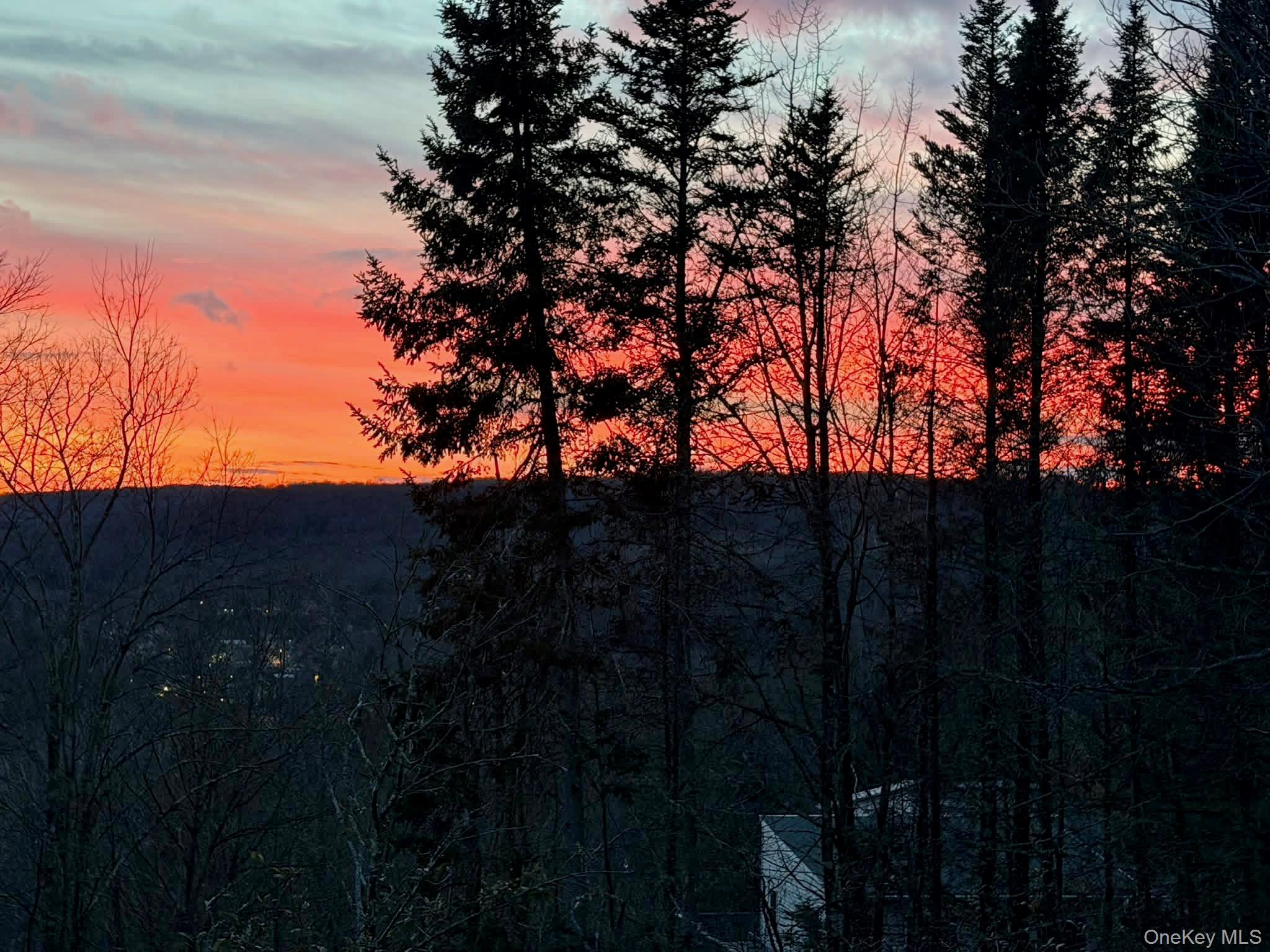 96 White Roe Lake Road Livingston Manor, NY 12758 - Photo 29 of 31 Stunning view of the sunset