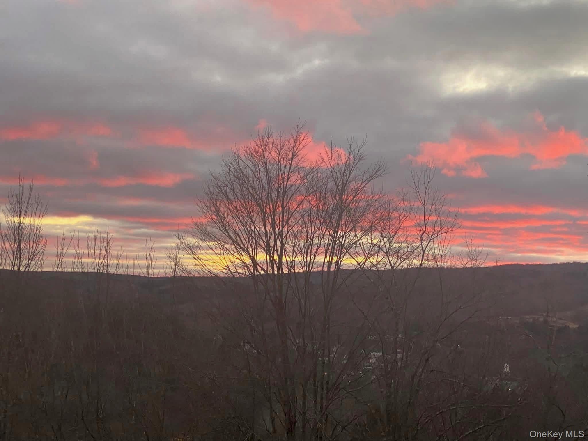 96 White Roe Lake Road Livingston Manor, NY 12758 - Photo 30 of 31 View from the back of the house