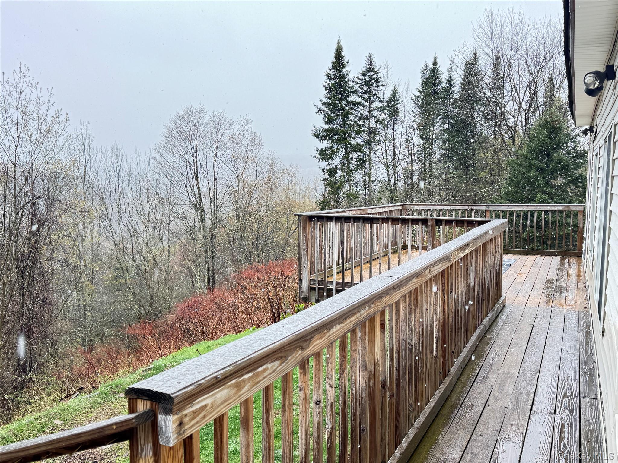 96 White Roe Lake Road Livingston Manor, NY 12758 - Photo 6 of 31 Rear deck