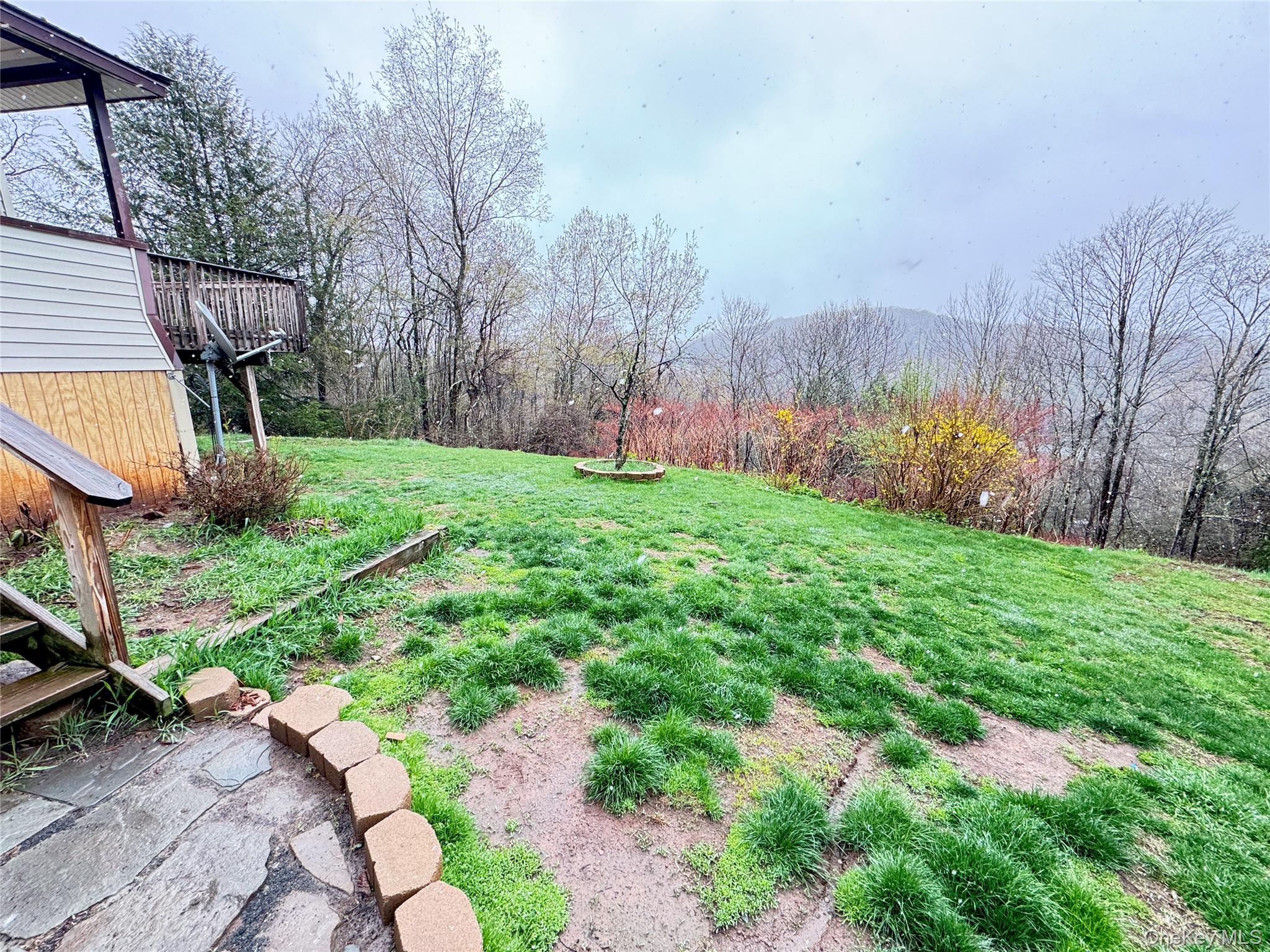 96 White Roe Lake Road Livingston Manor, NY 12758 - Photo 8 of 31