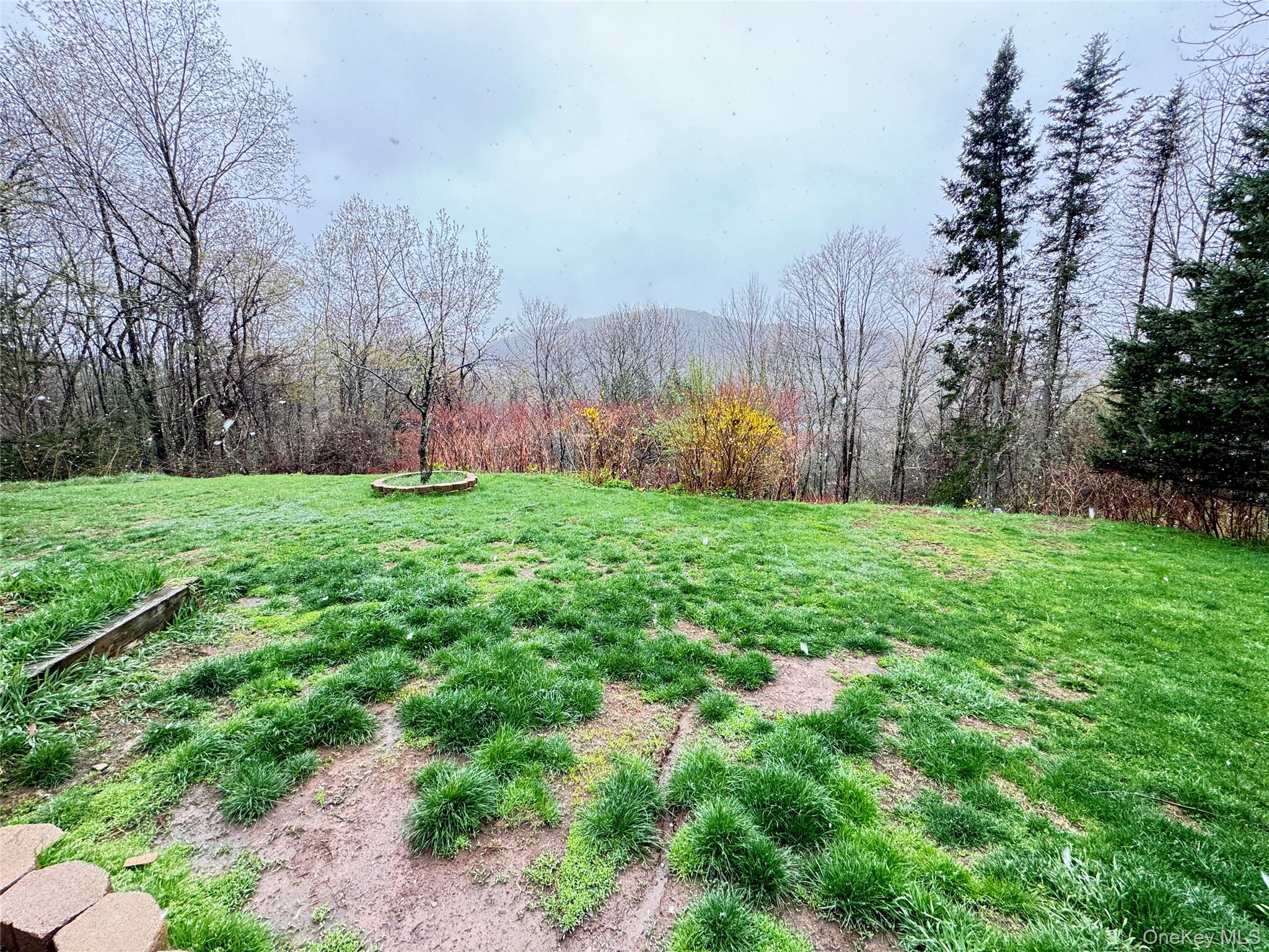 96 White Roe Lake Road Livingston Manor, NY 12758 - Photo 9 of 31