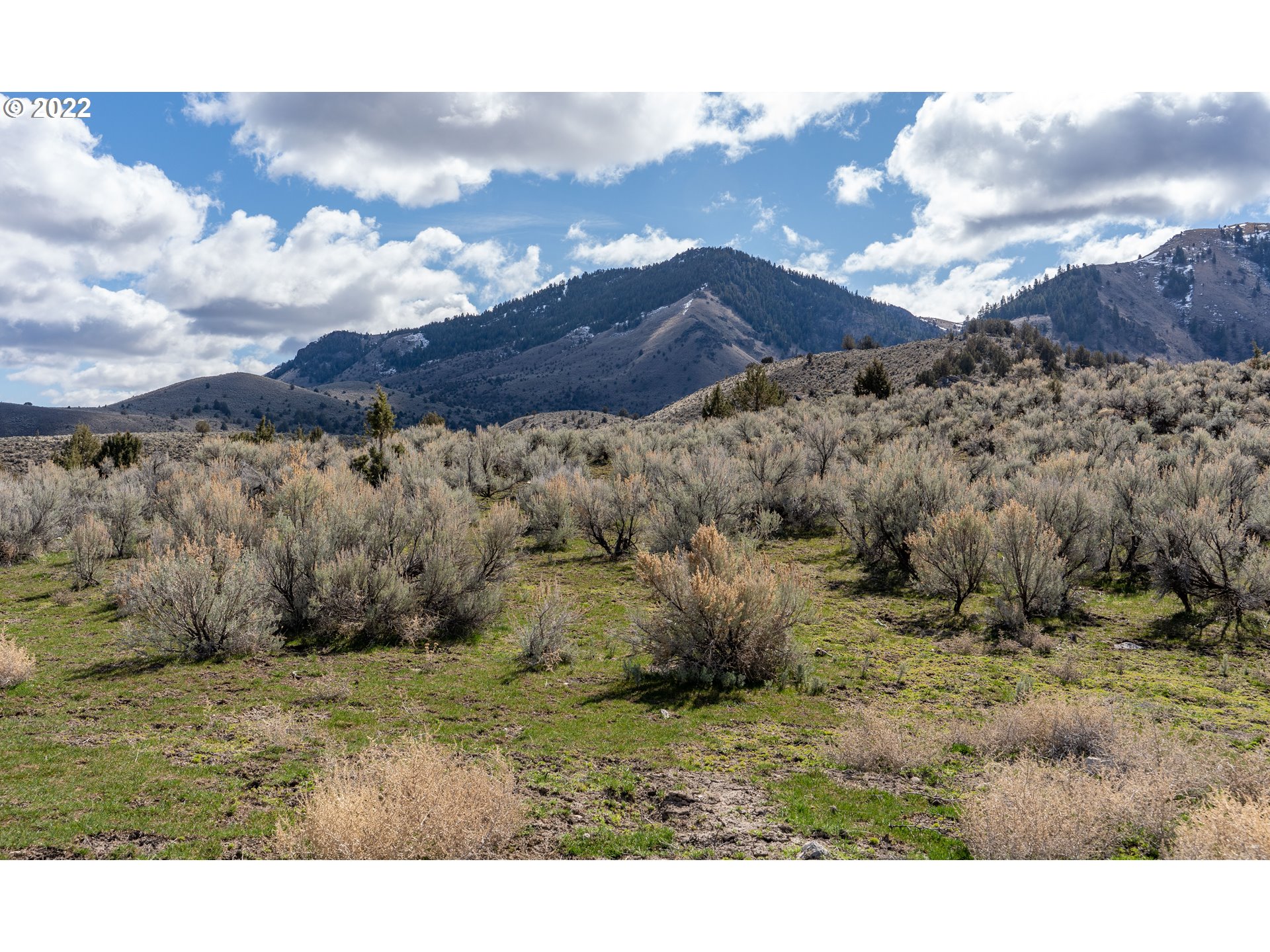 876 Oxman Ranch Road Durkee, OR 97905 - Photo 21 of 32 Gallery Image 21