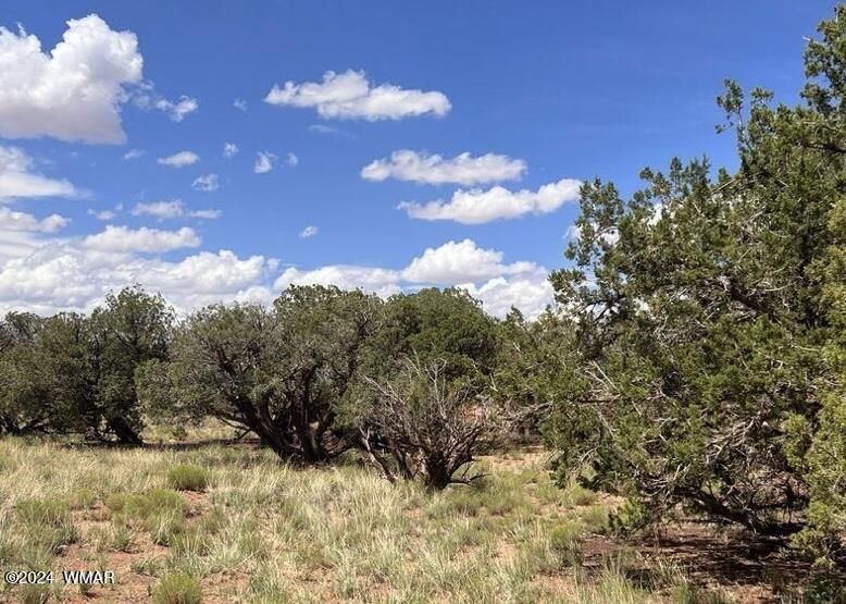 4062-4066 Apache Road Snowflake, AZ 85937 - Photo 1 of 4 a view of a bunch of trees