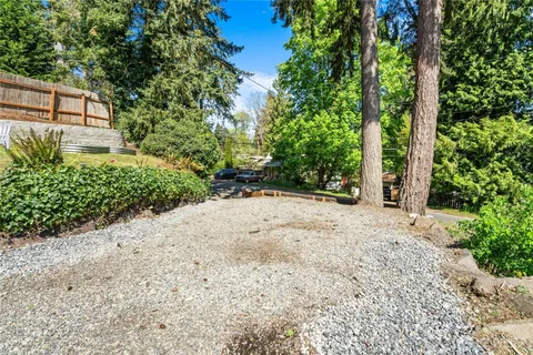 a view of a backyard with plants and large trees