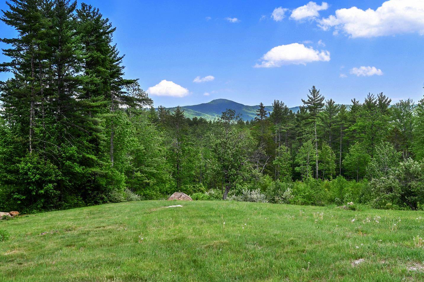 41 Little Pond Road Sandwich, NH 03227 - Photo 3 of 38