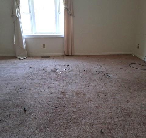 123 West Main Street Kingston, GA 30145 - Photo 10 of 10 a view of an empty room with a window