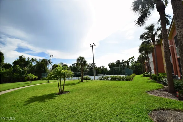 a view of a park with a tree