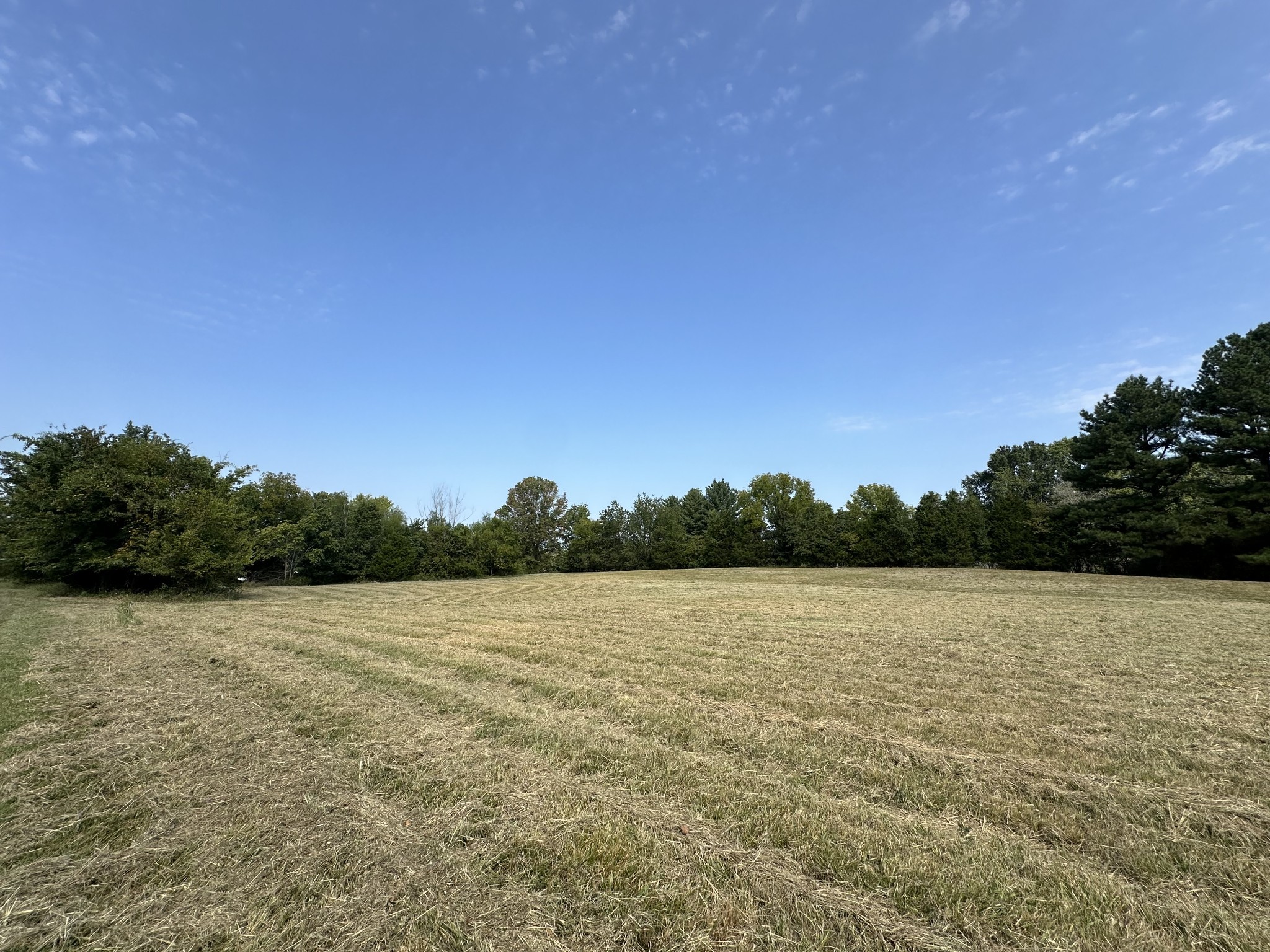 1238 Mires Road Mount Juliet, TN 37122 - Photo 37 of 51 Gallery Image 37