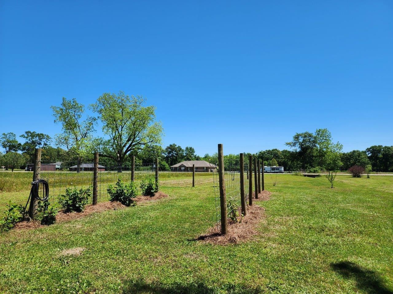 10585 Jack Springs Road Atmore, AL 36502 - Photo 41 of 50