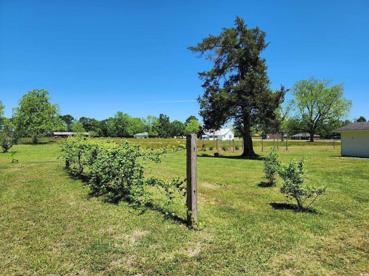 10585 Jack Springs Road Atmore, AL 36502 - Photo 43 of 50