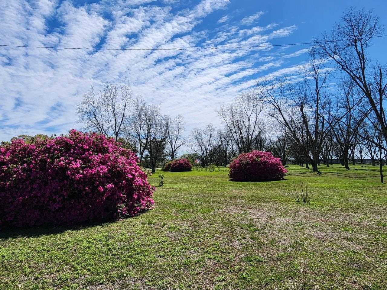 10585 Jack Springs Road Atmore, AL 36502 - Photo 47 of 50