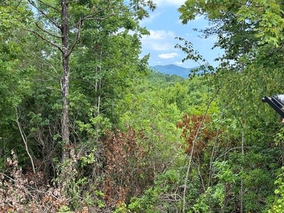 667 Long Branch Road Marble, NC 28905 - Photo 24 of 48
