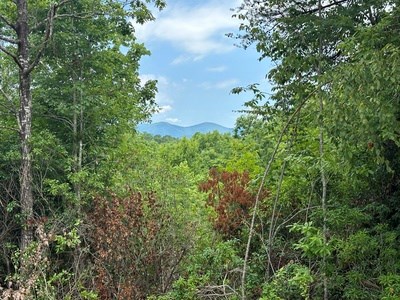 667 Long Branch Road Marble, NC 28905 - Photo 25 of 48