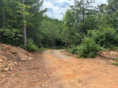 667 Long Branch Road Marble, NC 28905 - Photo 38 of 48