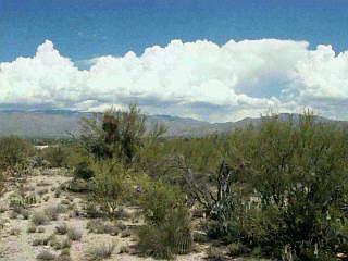 660 North Tanque Verde Loop Road Tucson, AZ 85748 - Photo 5 of 5 Gallery Image 5