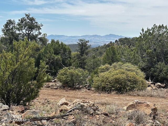 0 Shiloh Road Seligman, AZ 86337 - Photo 32 of 37 IMG_8836
