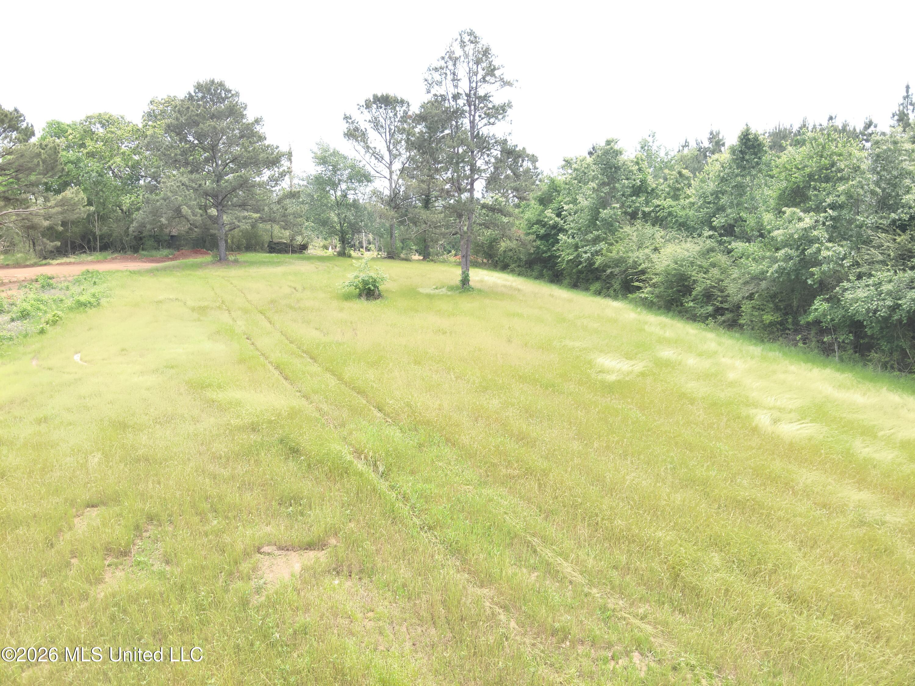 559 Smith County Road Pulaski, MS 39152 - Photo 18 of 32 DJI_20260427132507_0048_V