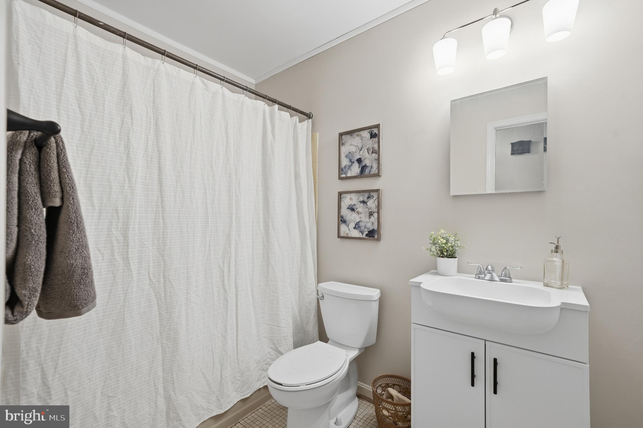 5253 Briscoe Farm Road Waldorf, MD 20601 - Photo 27 of 74 Hall bathroom w/ updated vanity