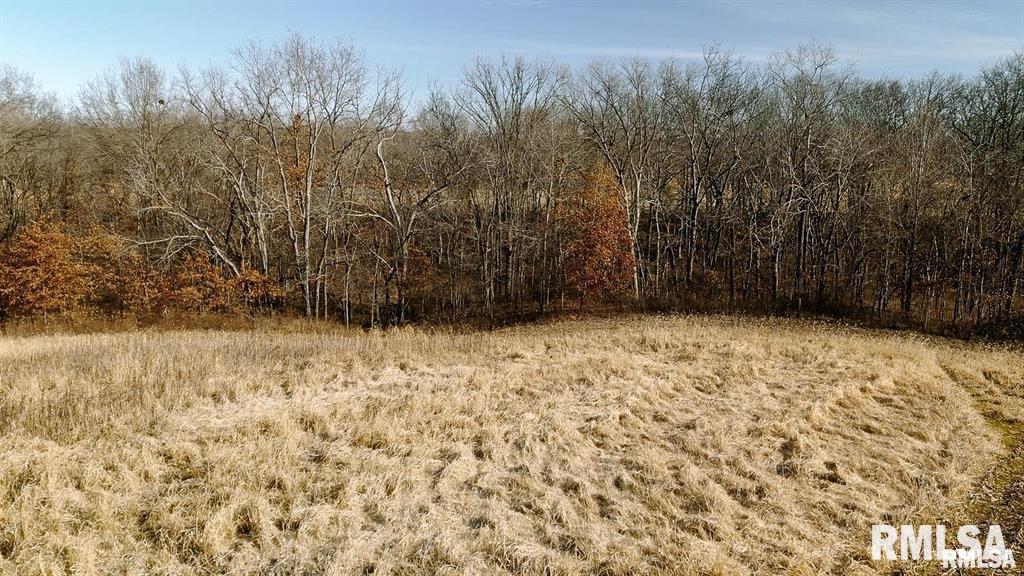 500-n 300 East E Road Oconee, IL 62553 - Photo 11 of 43