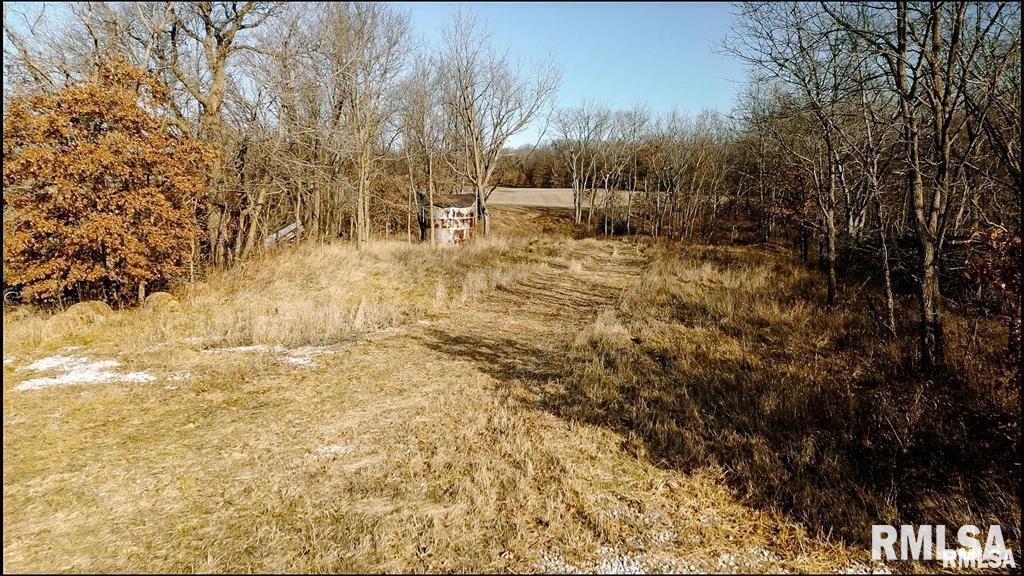 500-n 300 East E Road Oconee, IL 62553 - Photo 12 of 43