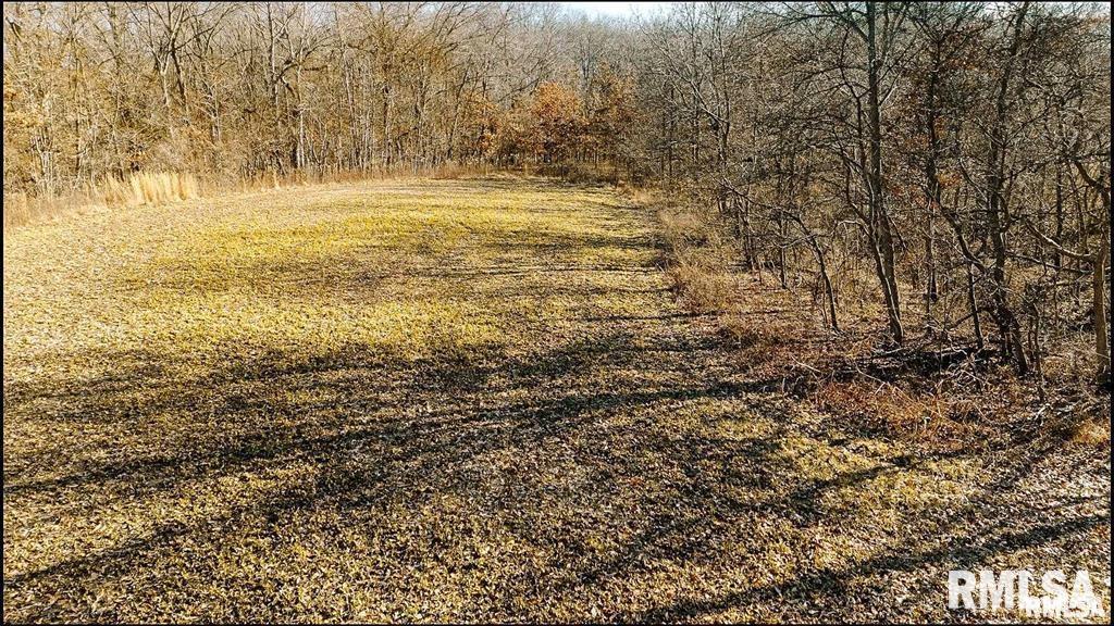 500-n 300 East E Road Oconee, IL 62553 - Photo 16 of 43