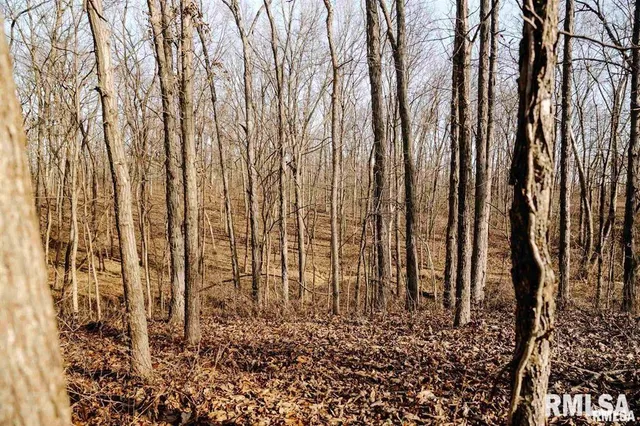 $840,000 | 500-n 300 East E Road, Oconee, IL 62553