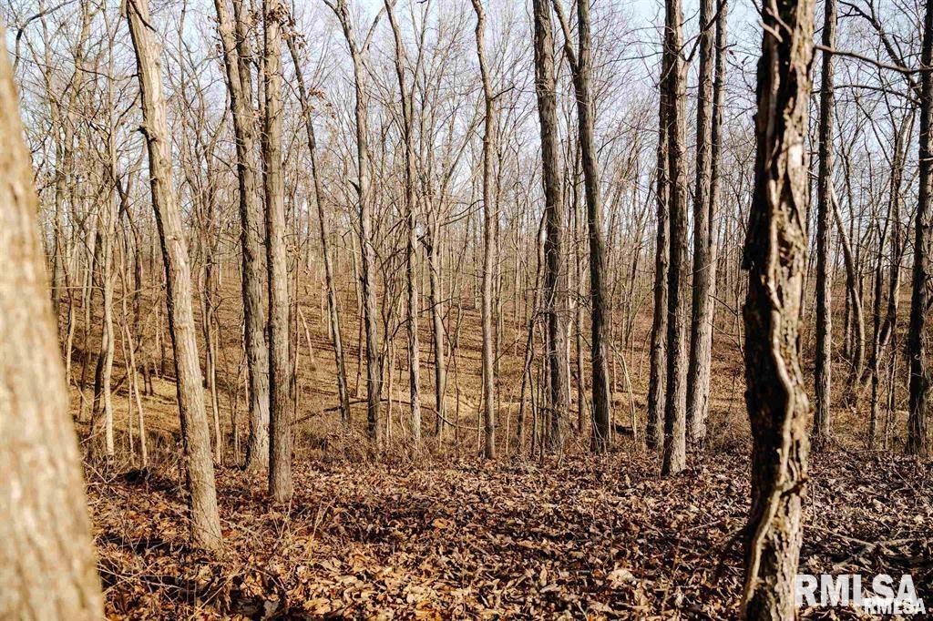 500-n 300 East E Road Oconee, IL 62553 - Photo 17 of 43