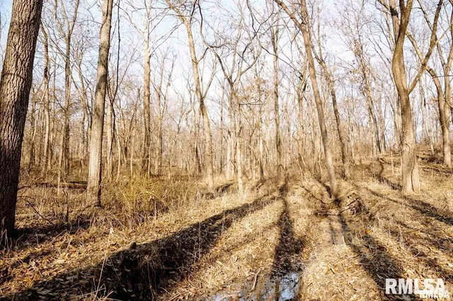 $840,000 | 500-n 300 East E Road, Oconee, IL 62553