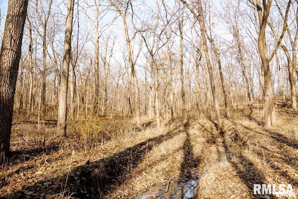 500-n 300 East E Road Oconee, IL 62553 - Photo 18 of 43