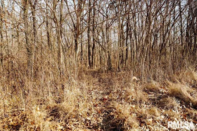 $840,000 | 500-n 300 East E Road, Oconee, IL 62553