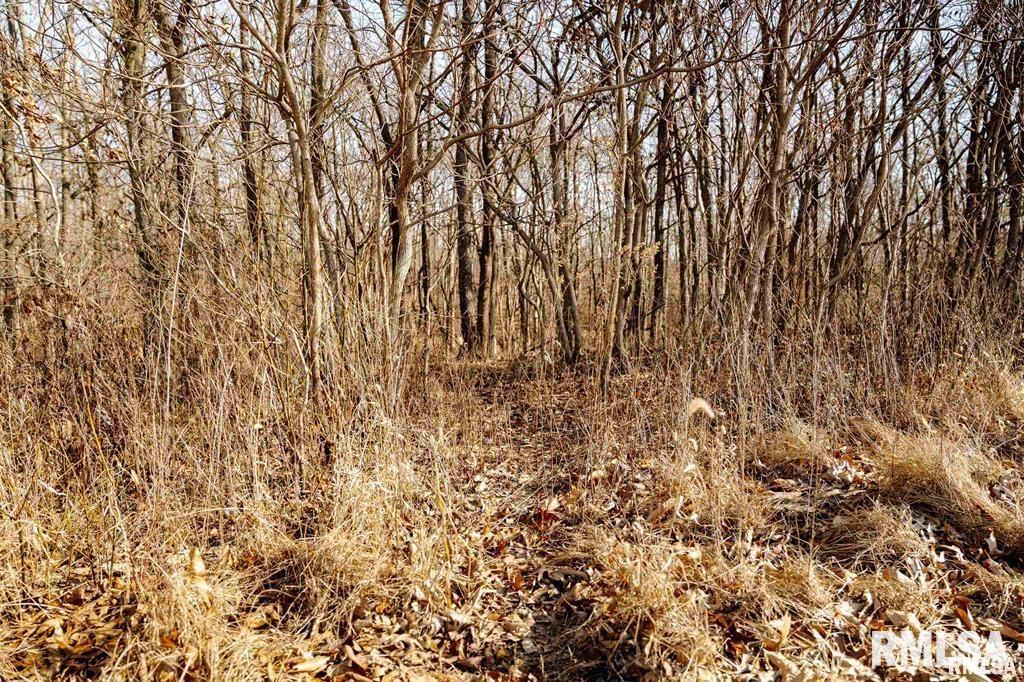 500-n 300 East E Road Oconee, IL 62553 - Photo 19 of 43