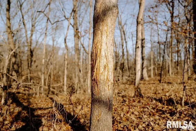 $840,000 | 500-n 300 East E Road, Oconee, IL 62553